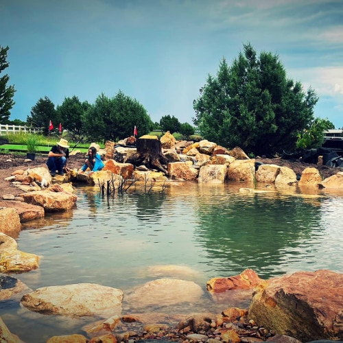 Pond Maintenance